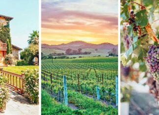 a Sommelier’s Guide to the Best Wineries in Napa