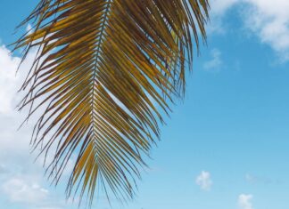 What to See, Do & Eat