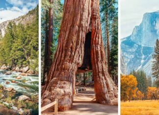 14 Epic Things to do in Yosemite National Park, California