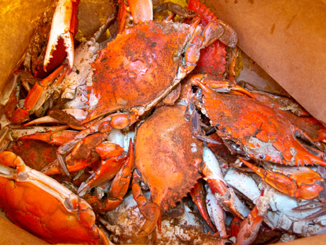 Finding blue crabs at the Municipal Fish Market in Washington, D.C.