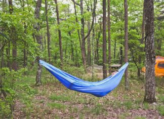 Your Ultimate Guide to the Best Camping in Georgia » Local Adventurer