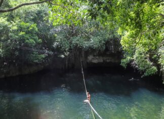 10 of Cancún’s Absolute Best Cenotes