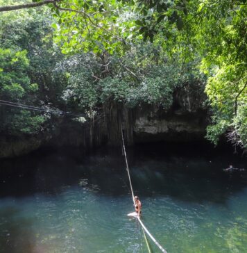 10 of Cancún’s Absolute Best Cenotes