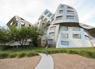 17+ Fun Things to Do in Downtown Las Vegas » Local Adventurer » Travel Adventures in Las Vegas + World Wide