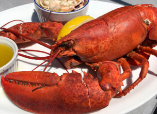 Whole lobster in Nova Scotia Whole lobster with butter and lemon from a restaurant on the South Shore of Nova Scotia