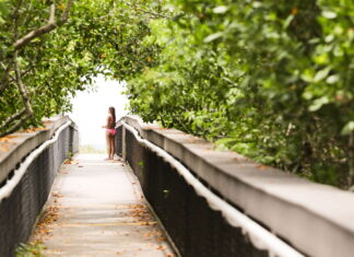 7 Fun Things to Do in Sarasota Florida for Your First Visit