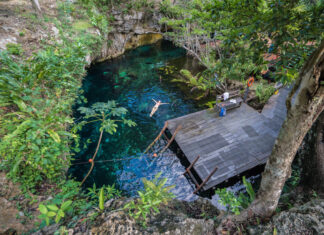 Your Guide to Tulum’s Best Cenotes