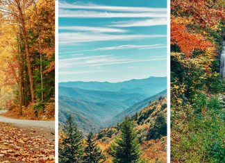 12 Epic Things to Do in Smoky Mountain National Park (& MASSIVE Travel Guide)