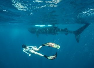 26 Unexpected Things to Do in the Riviera Maya, México