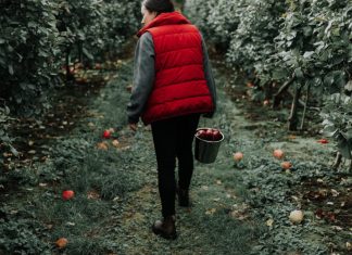 10 U.S. Destinations to Visit This Fall — TripIt Blog