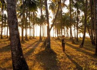 50 Powerful Affirmations for Women