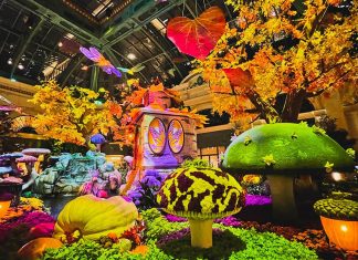 November Las Vegas Shows and Events 2021