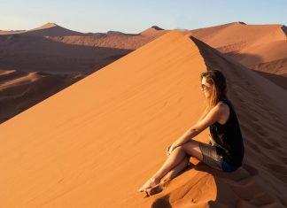 Everything You Need to Know