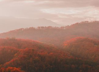 17 Wonderful Things to Do in Sevierville, Tennessee