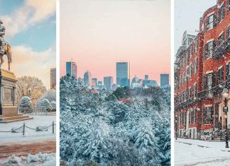 17 Best Things to do in Boston in the Winter (a Local’s Guide)