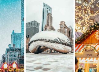 43 Cozy Things to do in Chicago in the Winter (a Local’s Guide)