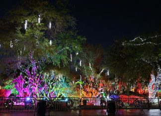 Best Things to Do in Las Vegas in December 2021 + What to Pack + More