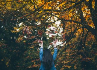 6 Tips for Low-Stress Thanksgiving Travel — TripIt Blog