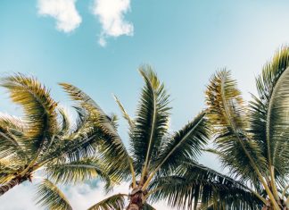 City Break: Orlando — TripIt Blog