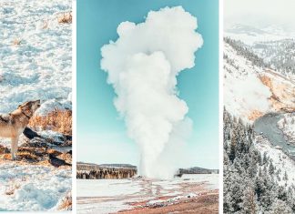 Everything You Need to Know