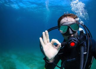 Your Guide to the Best Scuba Diving in USA » Local Adventurer