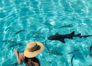 The Ultimate Staniel Cay Guide