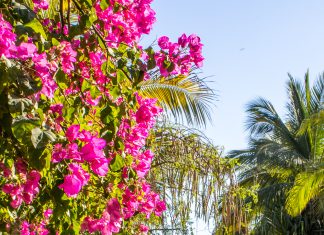 Surf’s Up! Your Guide to Puerto Escondido, Mexico