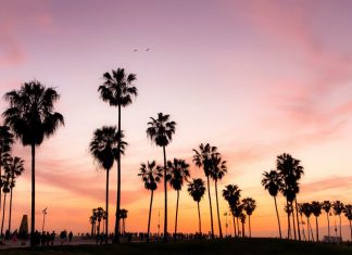 Where Americans Are Headed for Valentine’s Day 2022 — TripIt Blog