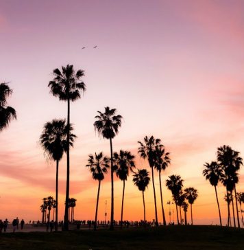 Where Americans Are Headed for Valentine’s Day 2022 — TripIt Blog