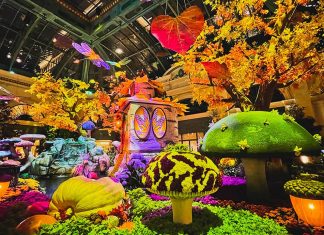 Bellagio Conservatory & Botanical Gardens