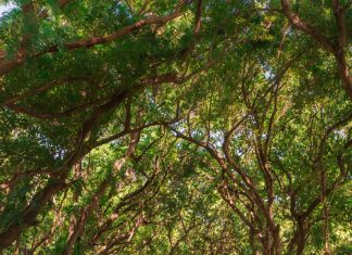 21 of the Best Places to Visit in March – USA Edition!