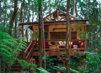 How Much Is a Trip to Hawai’i?