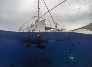 The Top 10 Best Snorkeling Spots in Maui