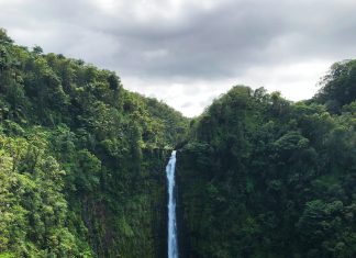 16 Magical Things to Do in Hilo