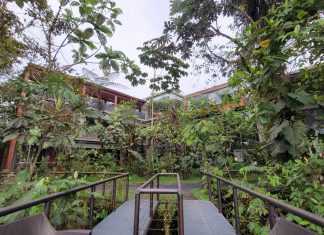 Mashpi Lodge – Ecuador’s Premier Lodge Changing Lives and the Planet