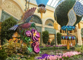 April Las Vegas Shows & Events You Can’t Miss 2022 + Packing Tips