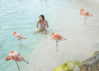 10 Lessons Learned from 10 Years as a Female Entrepreneur