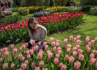 The Top 10 Best Places to Live in Europe