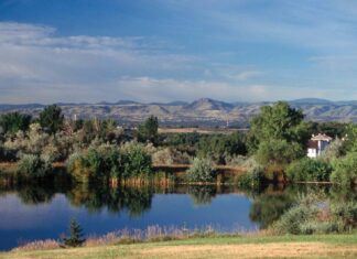 8 Reasons Why you Need to Get to Know West Arvada