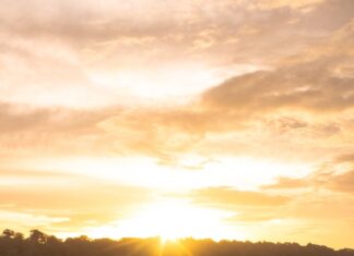 Tortuguero National Park in Costa Rica: Everything You Need to Know