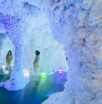 15 Best Museums in Las Vegas + Local Tips » Local Adventurer