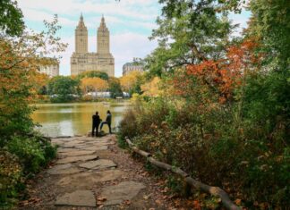 5 Ways to Make the Most of Traveling This Fall — TripIt Blog