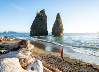 7 of the Best Hikes in Olympic National Park