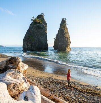 7 of the Best Hikes in Olympic National Park