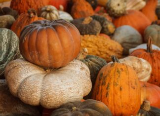 Gilcrease Orchard in Las Vegas