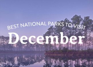 9 Best National Parks to Visit in December » Local Adventurer