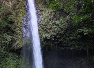 The Best Costa Rica Tours (for Every Budget!)