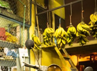 San José Food Tour: Is It Worth It?