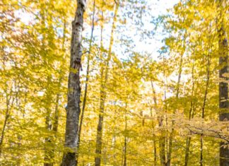 The Ultimate Minimalist Flying with Baby Packing List for 2023 (+ Printable)