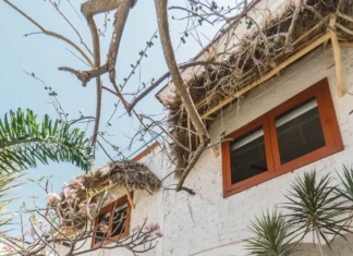 The Top 10 Best Boutique Hotels in Sayulita, Mexico